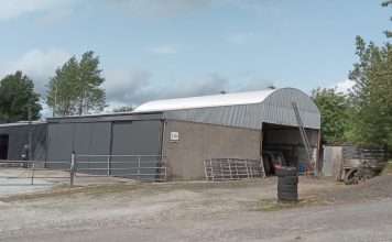 Driveway Cleaning Ireland, Gutter Cleaning Ireland, Gutter Repair & Replace Ireland, Hedges Ireland, House Painting Ireland, Patio Cleaning & Repair Ireland, Patios & Walkways Ireland, Powerwashing & Exterior Cleaning Ireland, Repointing Ireland, Ridge Tiles Ireland, Roof Cleaning & Sealing Ireland, Roof Painting Ireland, Roof Repair Ireland, Roofing Ireland, Seal Coating Driveways Ireland, Wall Cleaning Ireland