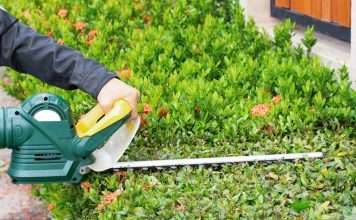 Driveway Cleaning Ireland, Gutter Cleaning Ireland, Gutter Repair & Replace Ireland, Hedges Ireland, House Painting Ireland, Patio Cleaning & Repair Ireland, Patios & Walkways Ireland, Powerwashing & Exterior Cleaning Ireland, Repointing Ireland, Ridge Tiles Ireland, Roof Cleaning & Sealing Ireland, Roof Painting Ireland, Roof Repair Ireland, Roofing Ireland, Seal Coating Driveways Ireland, Wall Cleaning Ireland